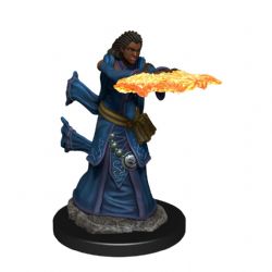 DUNGEONS & DRAGONS -  FEMALE HUMAN WIZARD -  ICONS OF THE REALMS